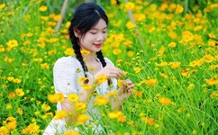 草莓视频在线看免费高清观看